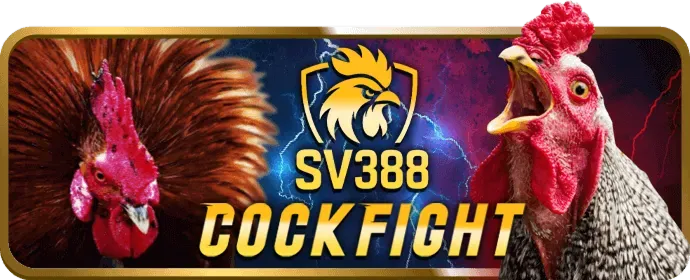 Dịch vụ hỗ trợ ưu tiên 24/7 cho thành viên VIP
